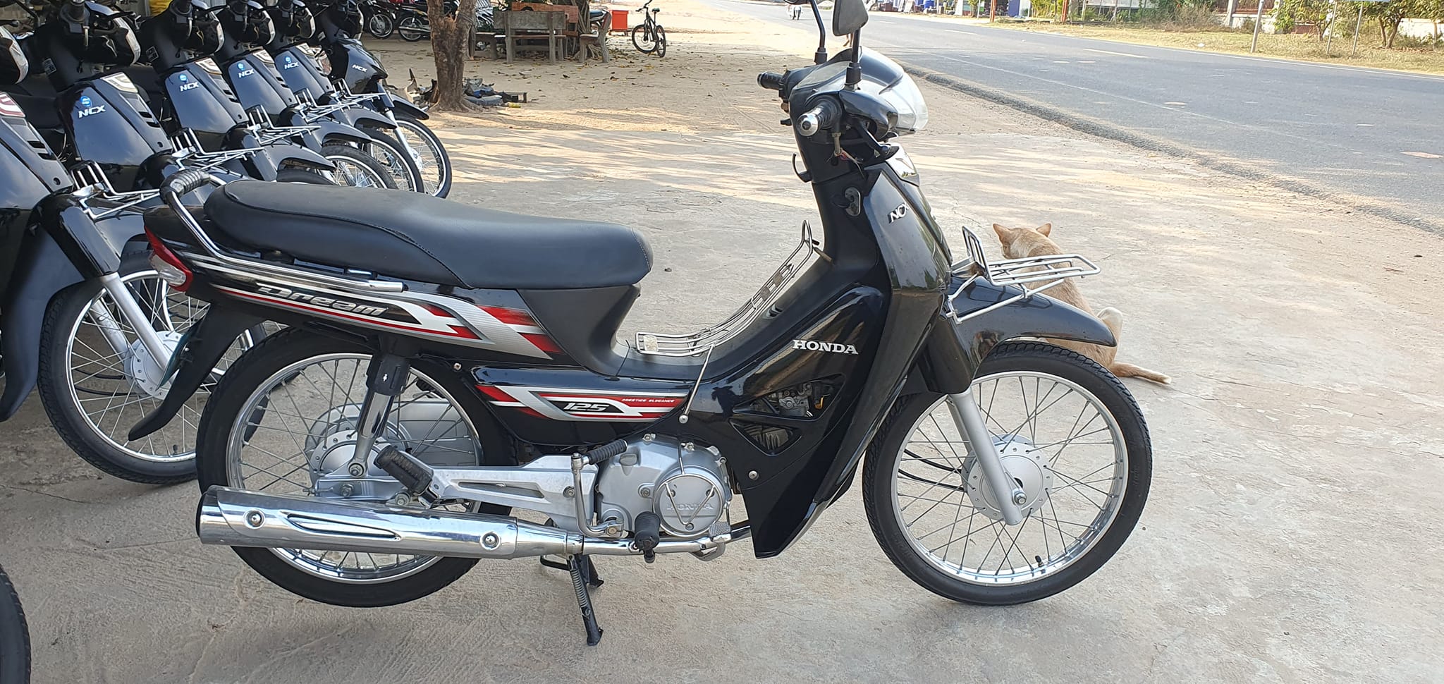 Honda Dream 2010
