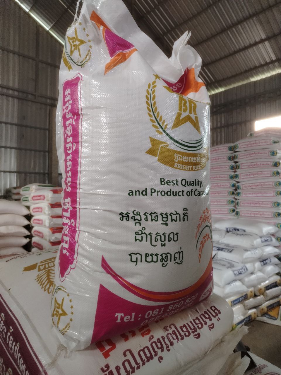 ផ្ការំដួលវស្សាដើម 50kg