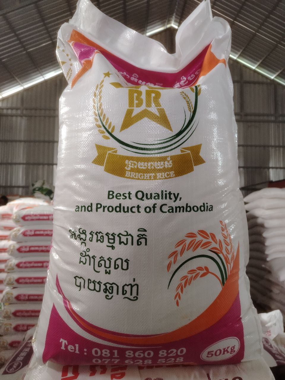 ផ្ការំដួលវស្សាដើម 50kg