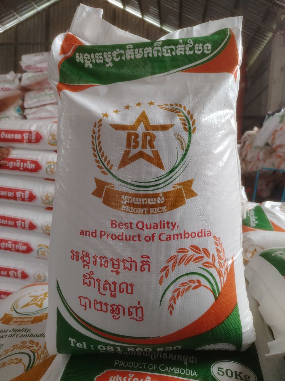 ឆ្មាព្រុំល្អ (TO04) 20គីឡូ