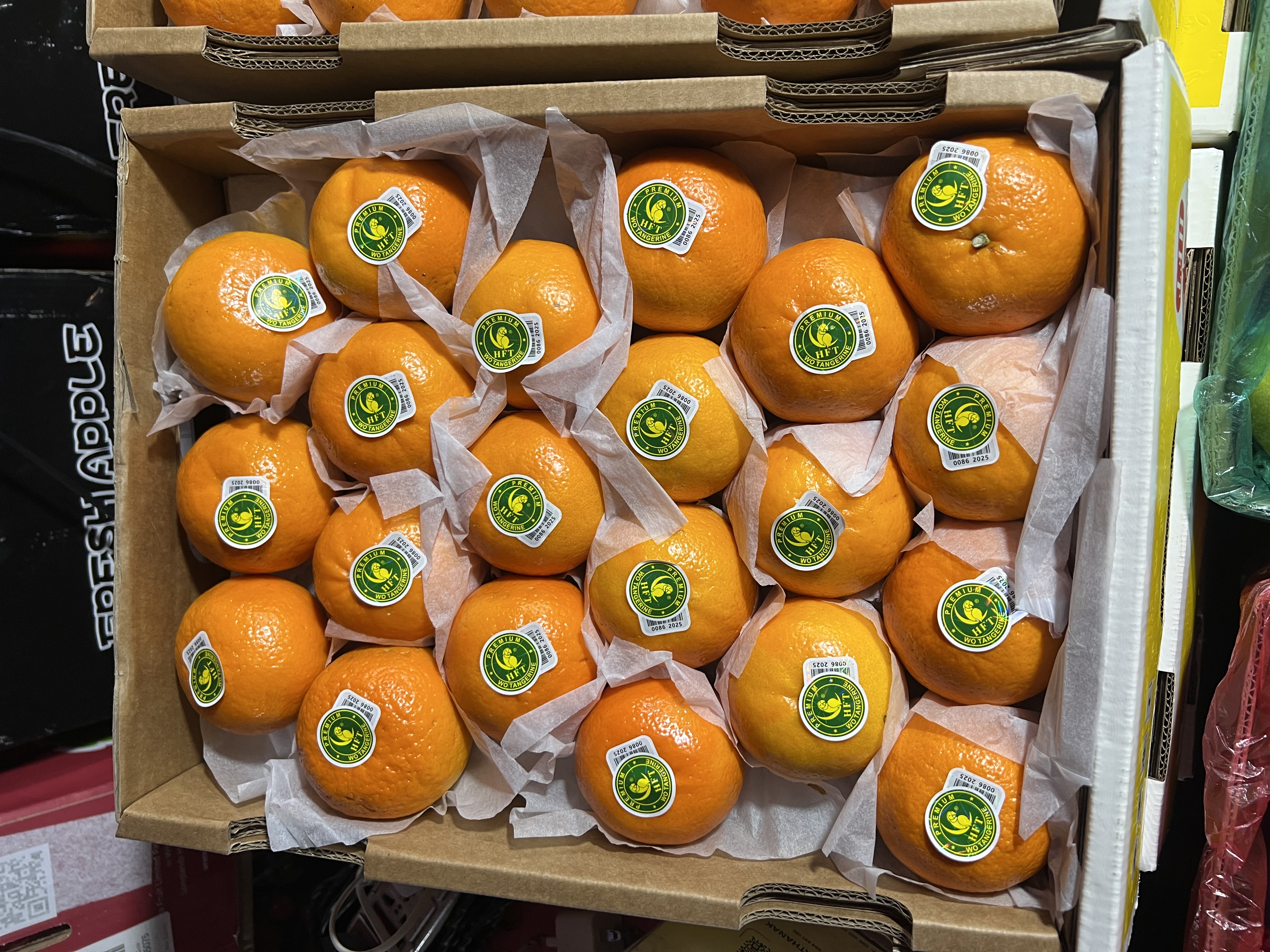 ក្រូចរូបសេកលេខធំ  L (7Kg/កេះ) 