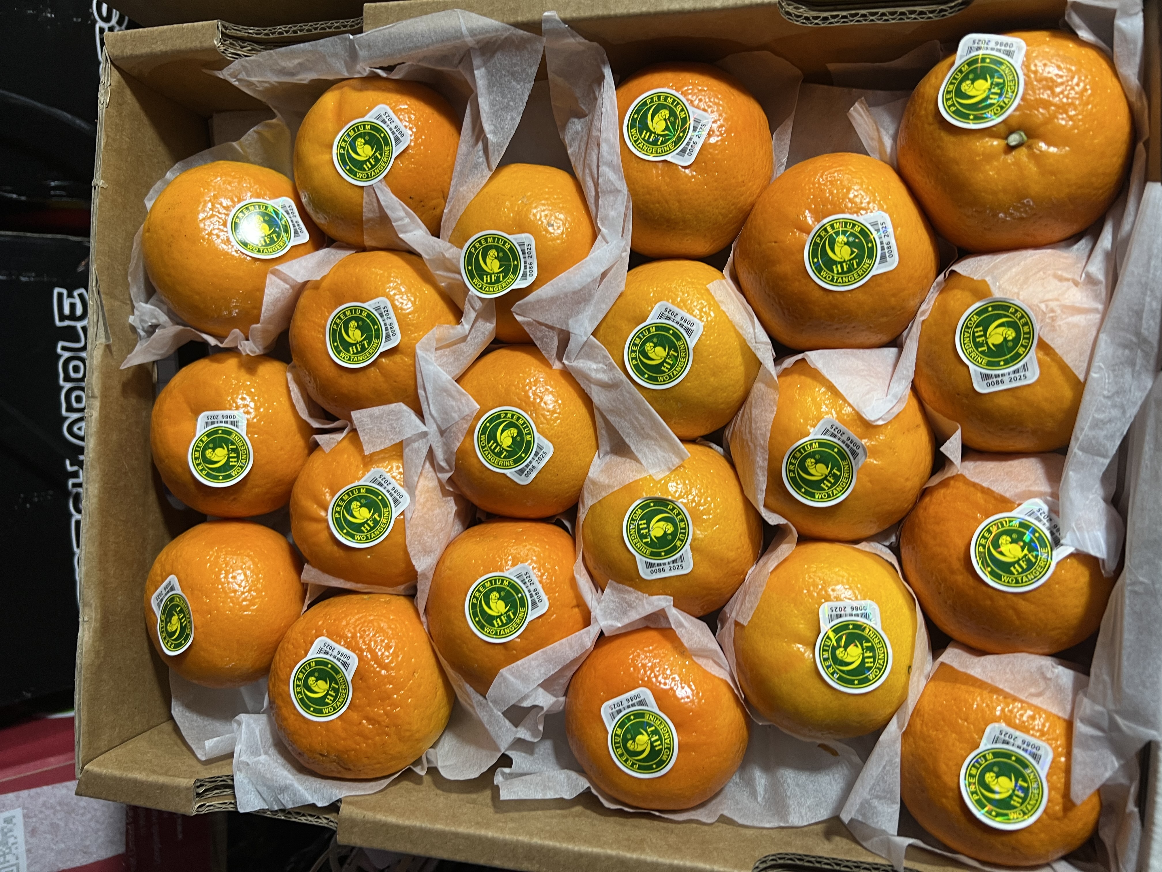 ក្រូចរូបសេកលេខកណ្តាល M (7Kg/កេះ)