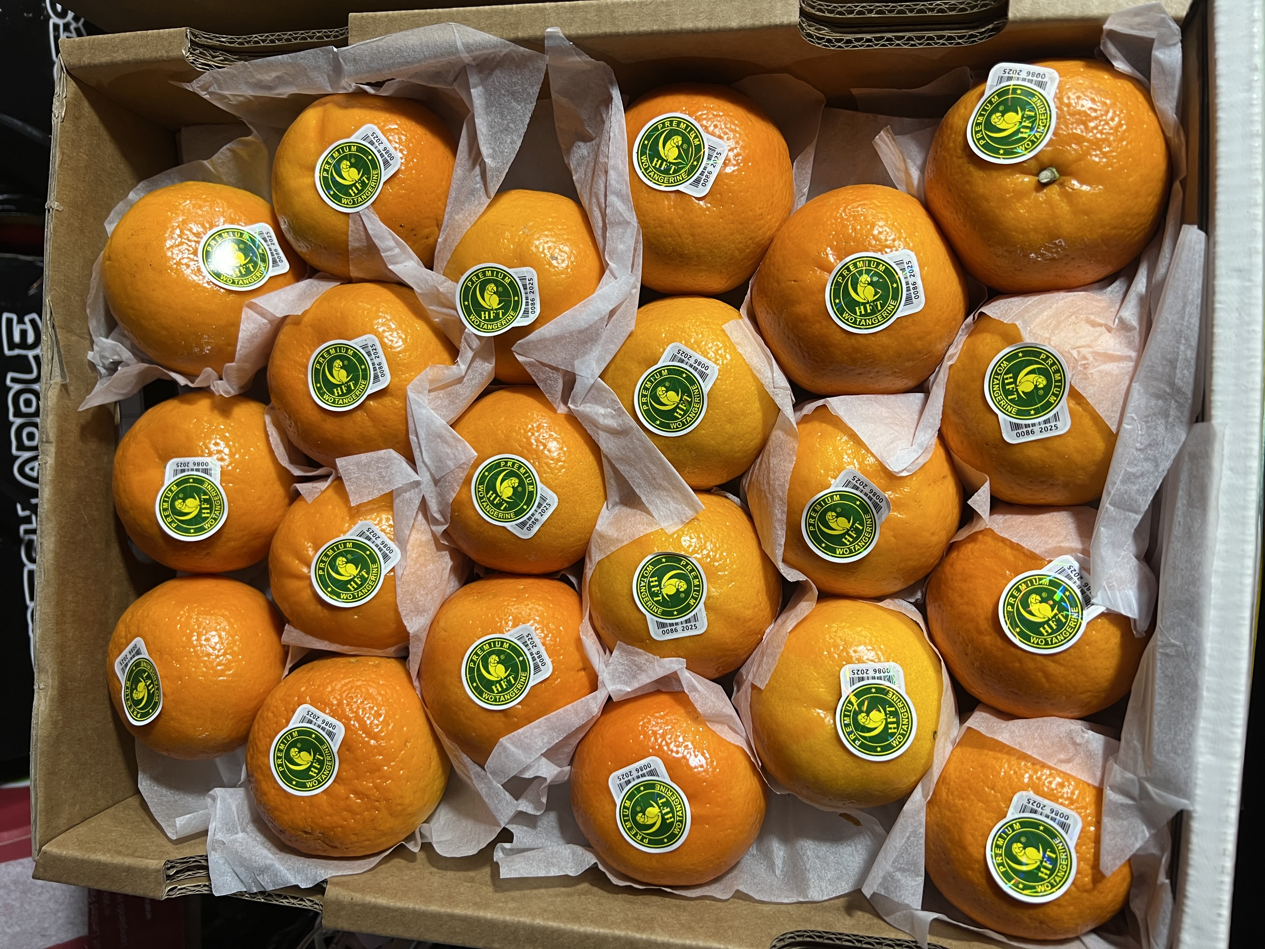 ក្រូចរូបសេកលេខកណ្តាល M (7Kg/កេះ)