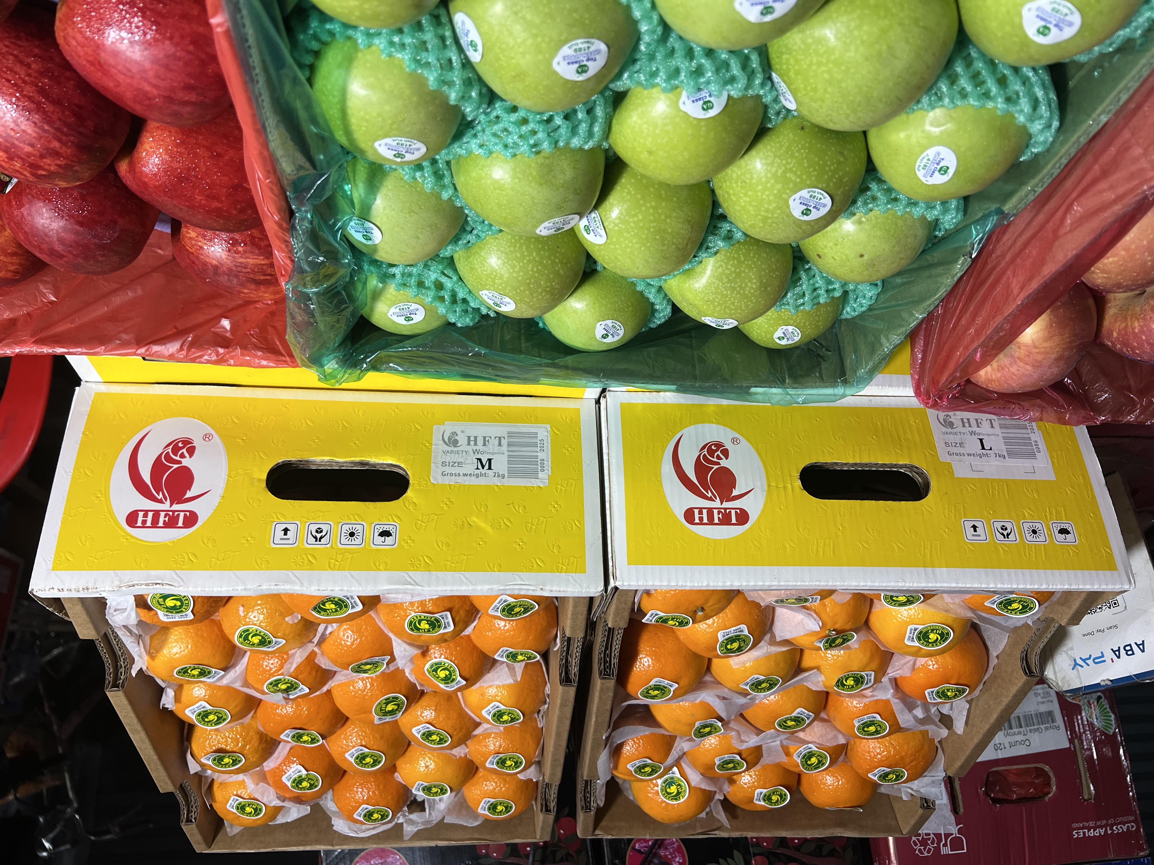 ក្រូចរូបសេកលេខកណ្តាល M (7Kg/កេះ)