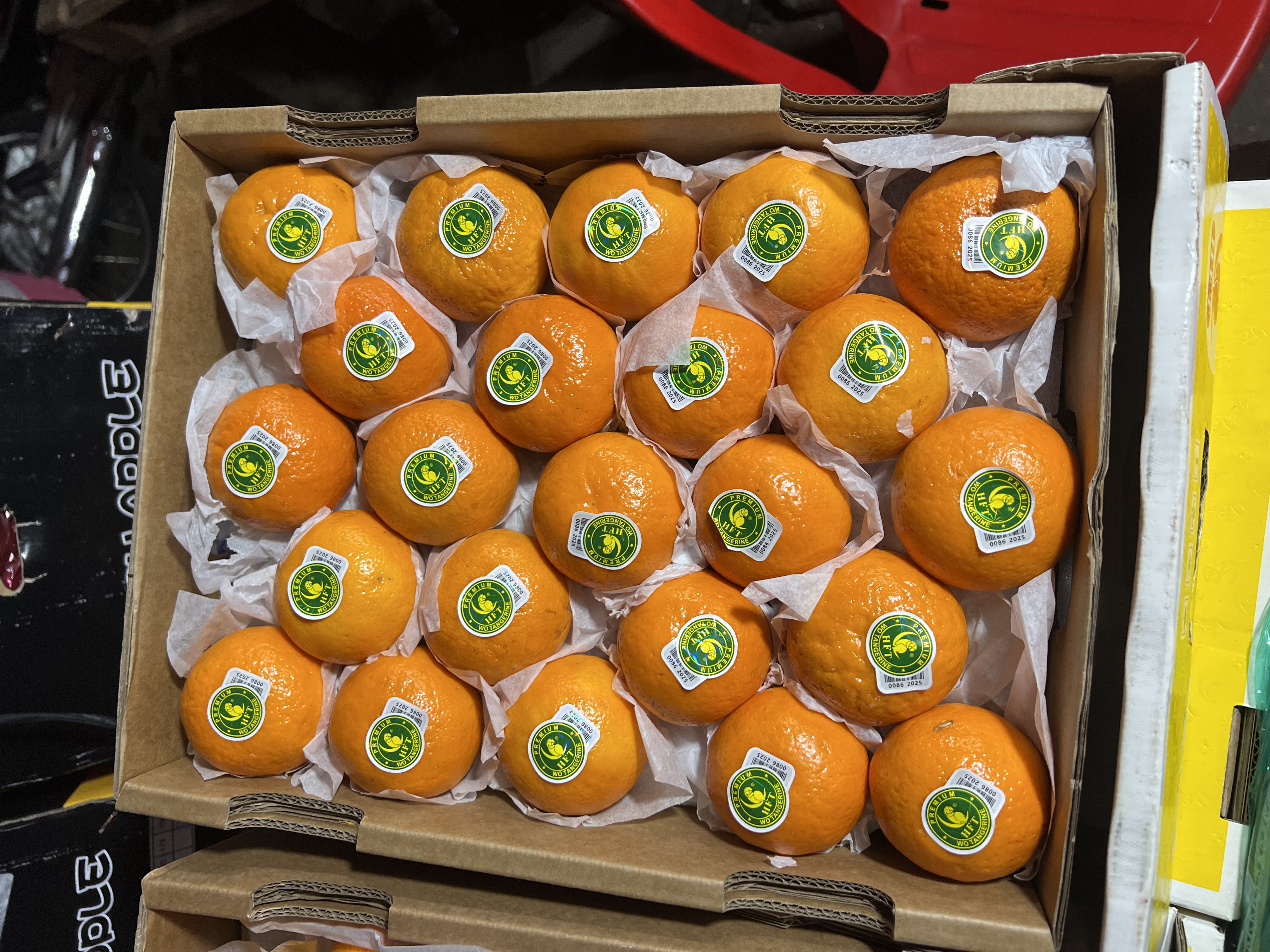 ក្រូចរូបសេកលេខកណ្តាល M (7Kg/កេះ)