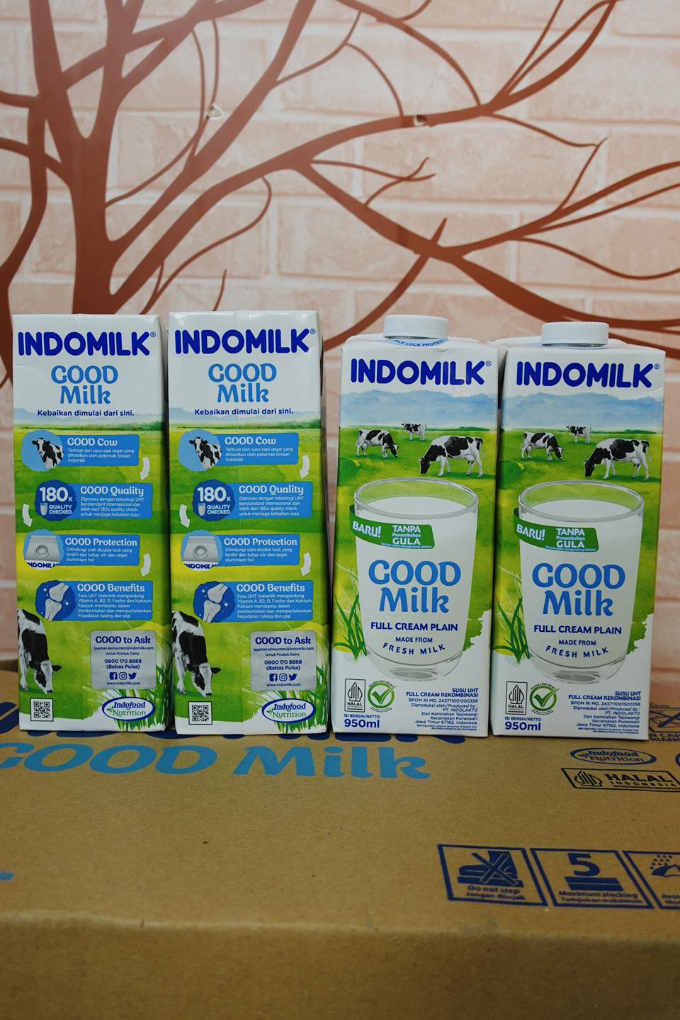ទឹកដោះគោស្រស់ Indo Milk 
